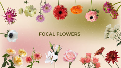 Focal Flowers