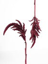 Amaranthus Velvet Curtains