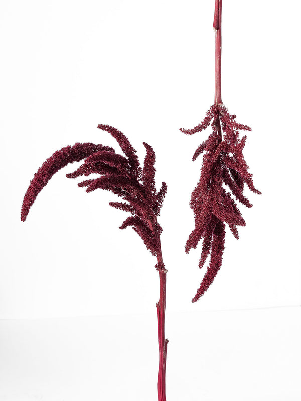Amaranthus Velvet Curtains