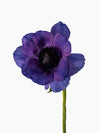 Anemone Mistral Blue