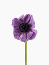 Anemone Mistral Soft Purple