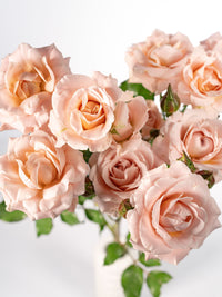 Be Loving Spray Rose