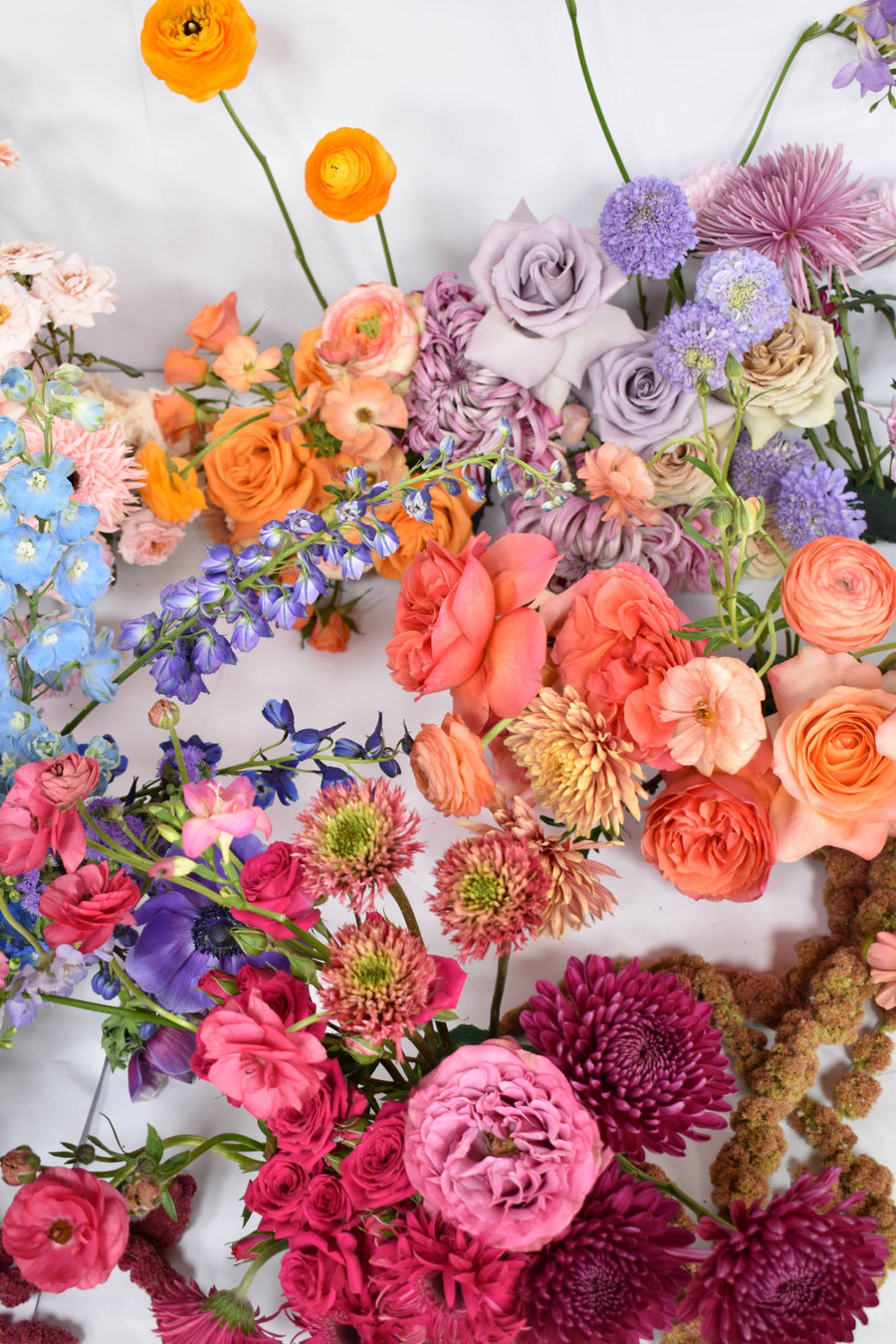 FLOVERSE