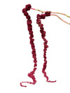 Amaranthus Ponytails Red