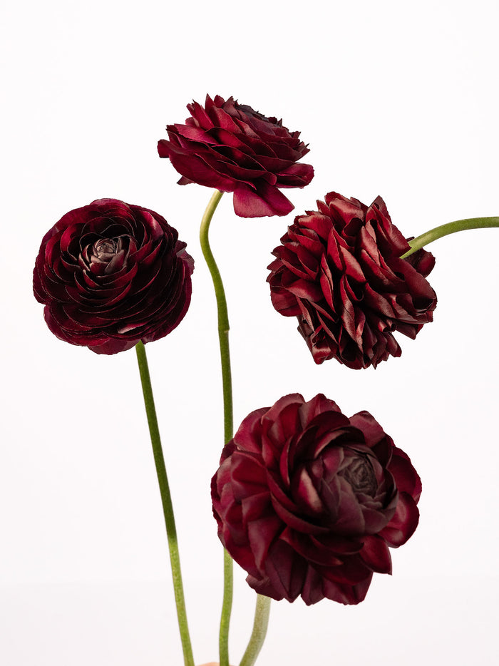 Elegance Purple