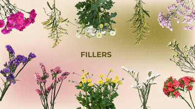 Fillers