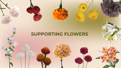 Supporting Flowers