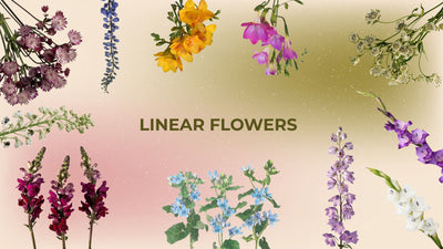 Linear Flowers