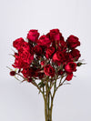 Amor Blossom